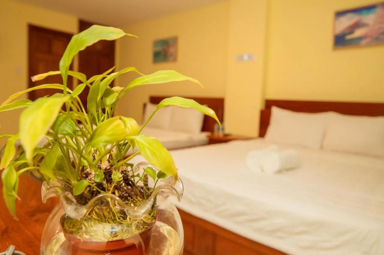 וונג טאו Thuy Trang Hotel וונג טאו